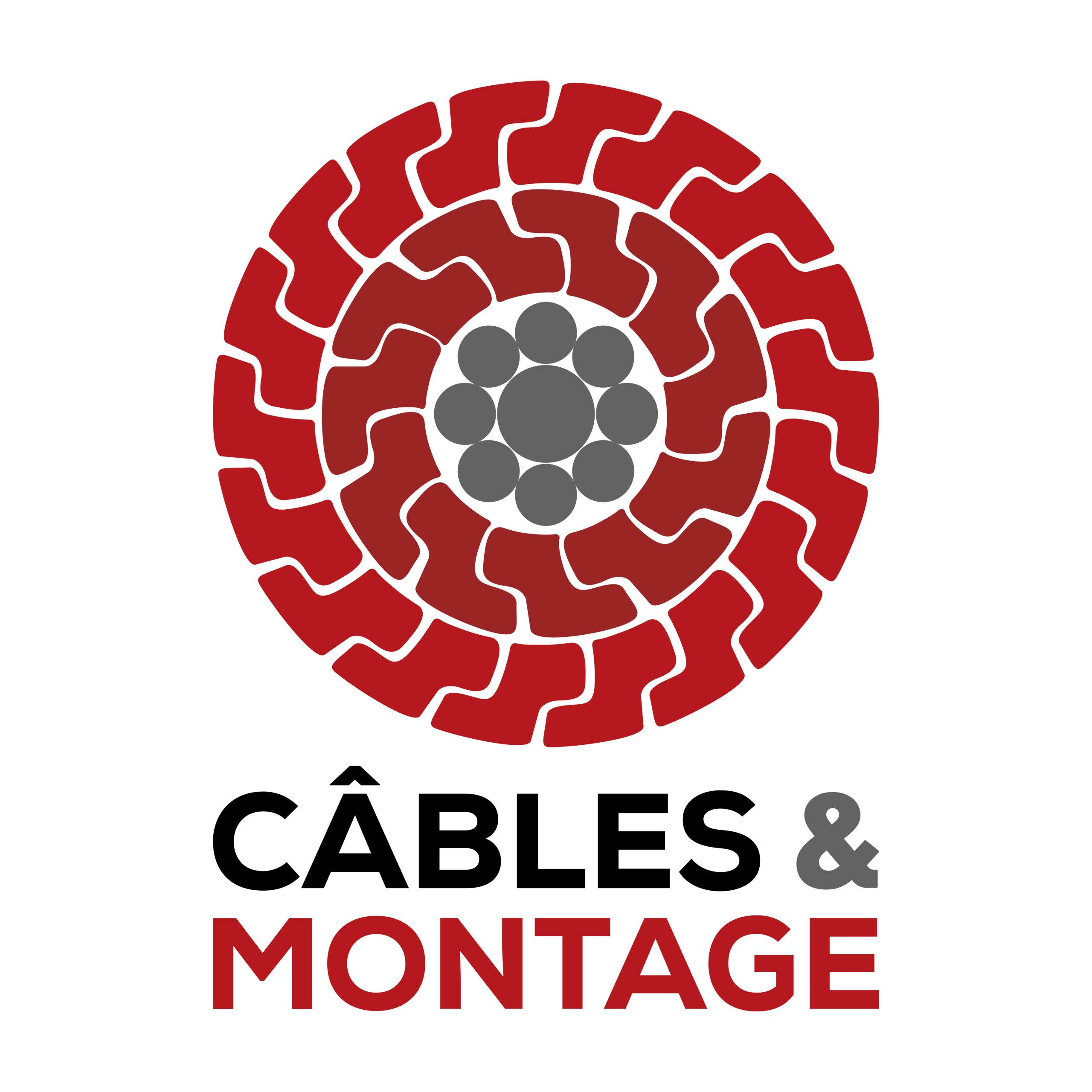 Logo_carré_cables et montage