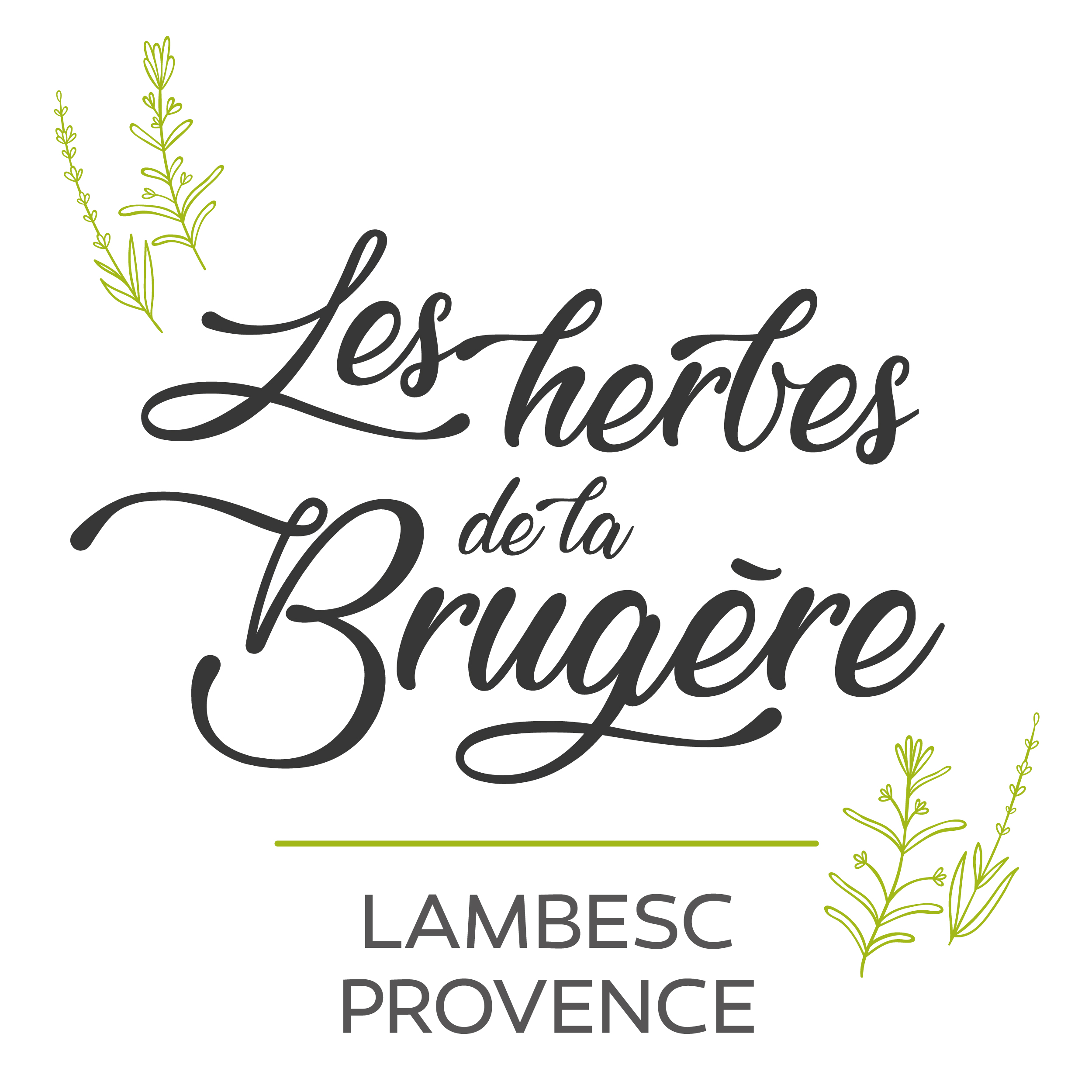 Logotype créé par le graphiste fredlameche