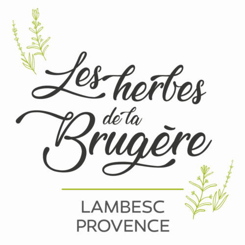 Logotype créé par le graphiste fredlameche