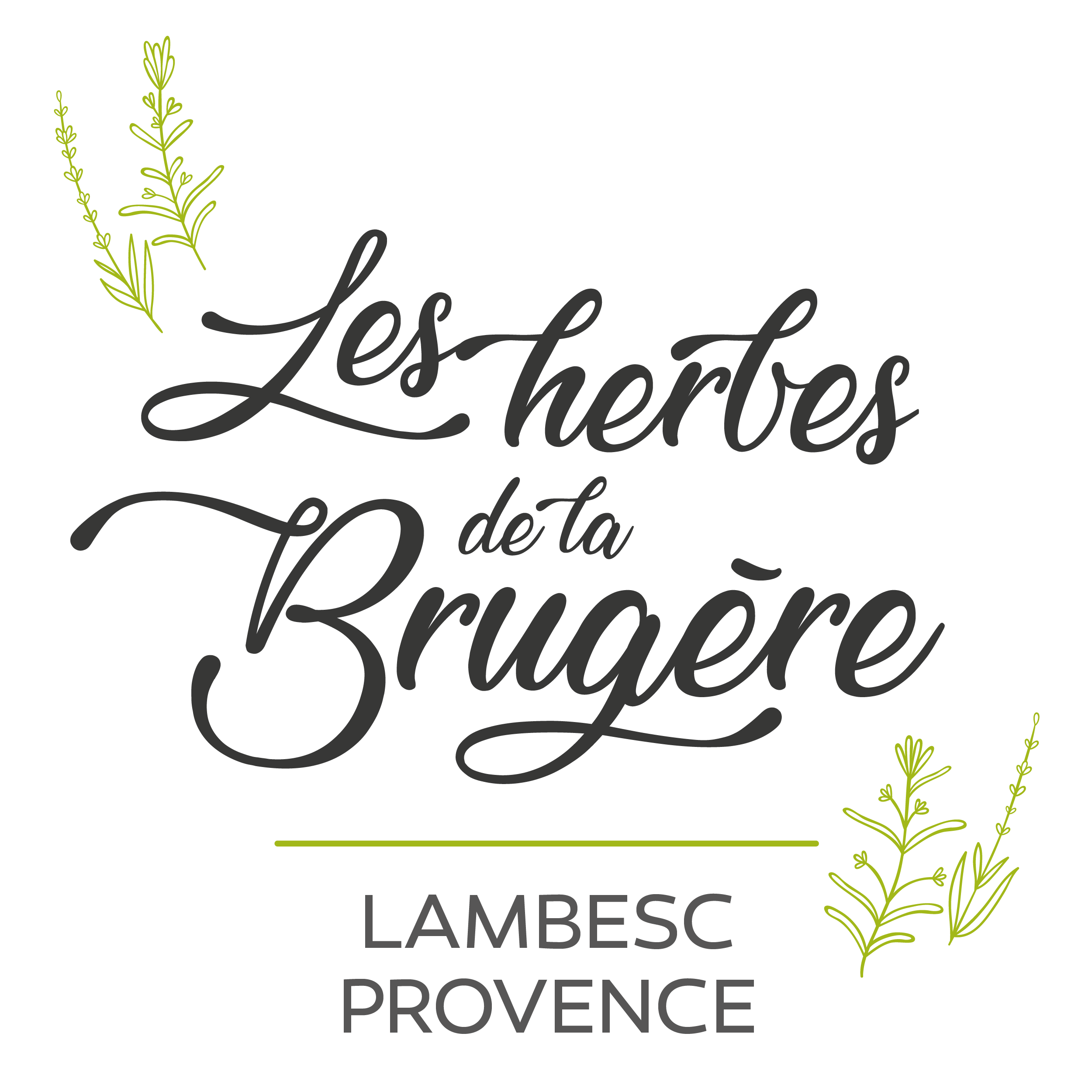logo_seul_les herbes de la brugère_600x600_Plan de travail 1
